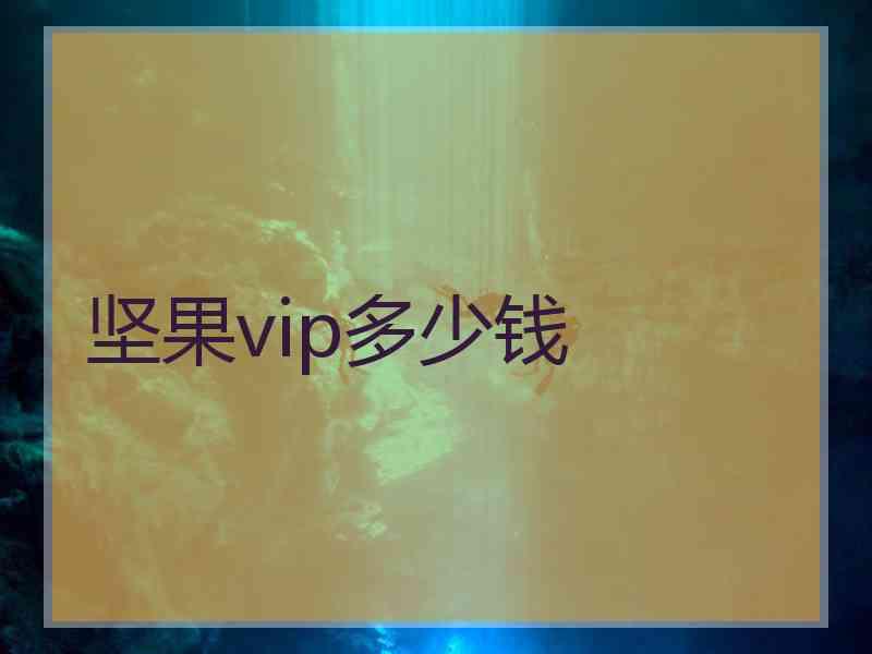 坚果vip多少钱