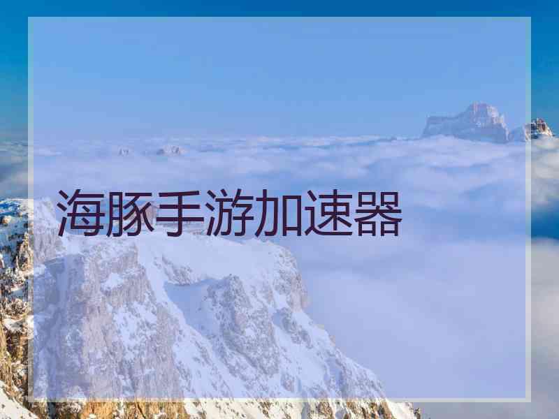 海豚手游加速器