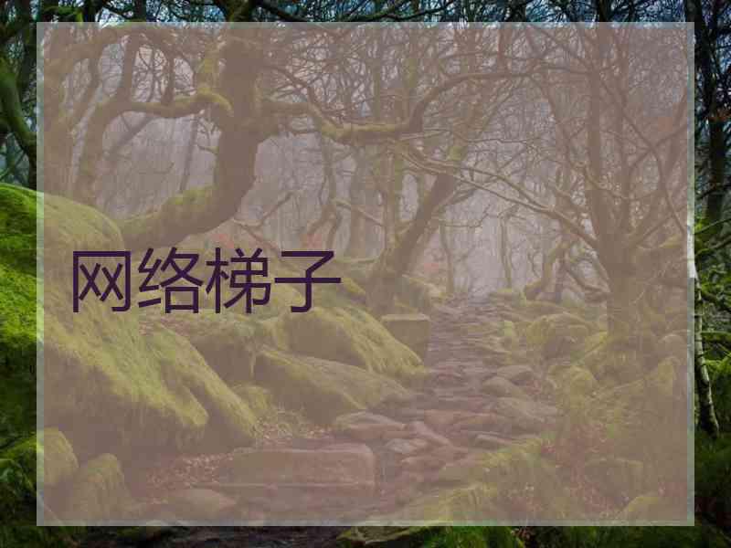网络梯子