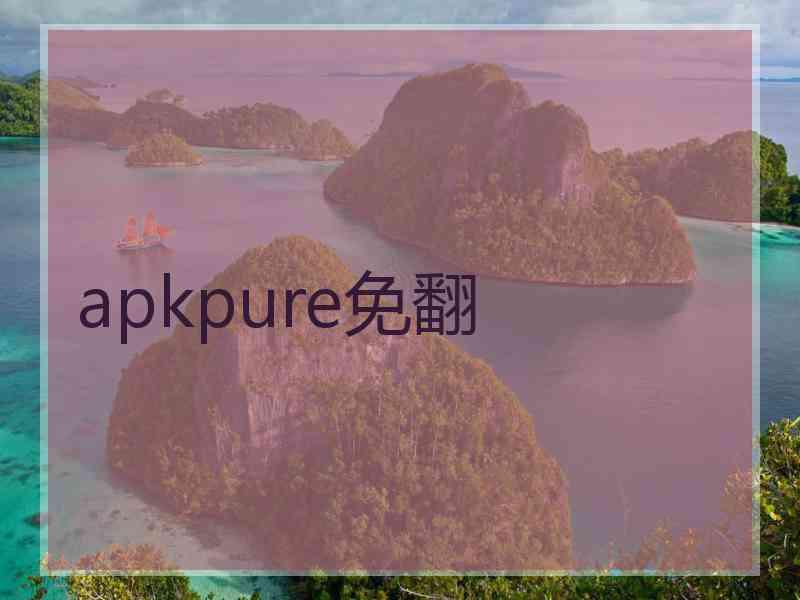 apkpure免翻