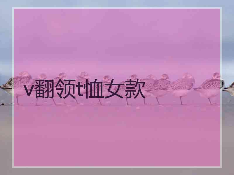v翻领t恤女款