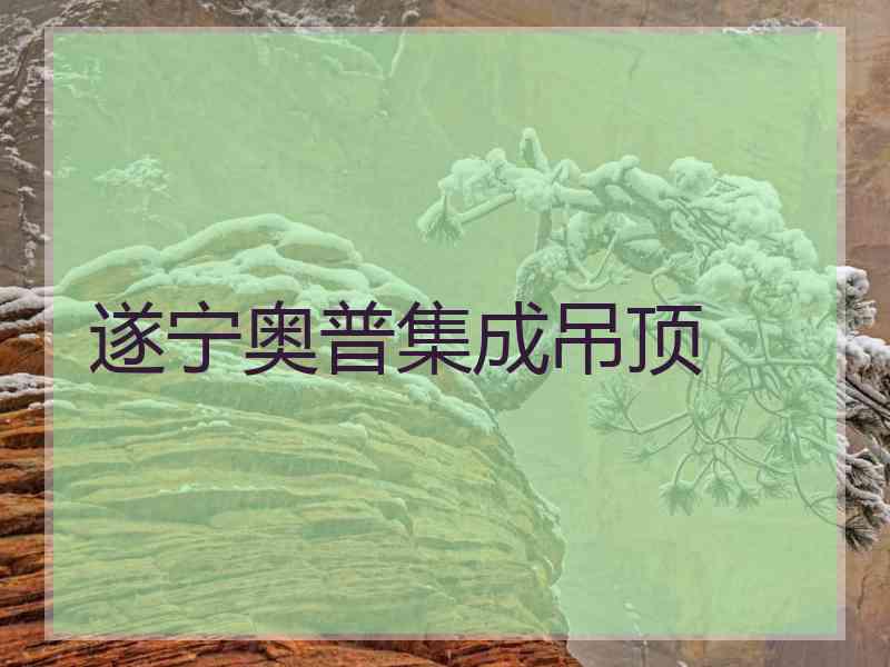 遂宁奥普集成吊顶