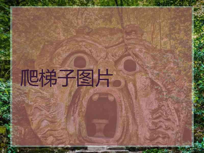 爬梯子图片