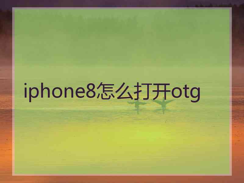 iphone8怎么打开otg