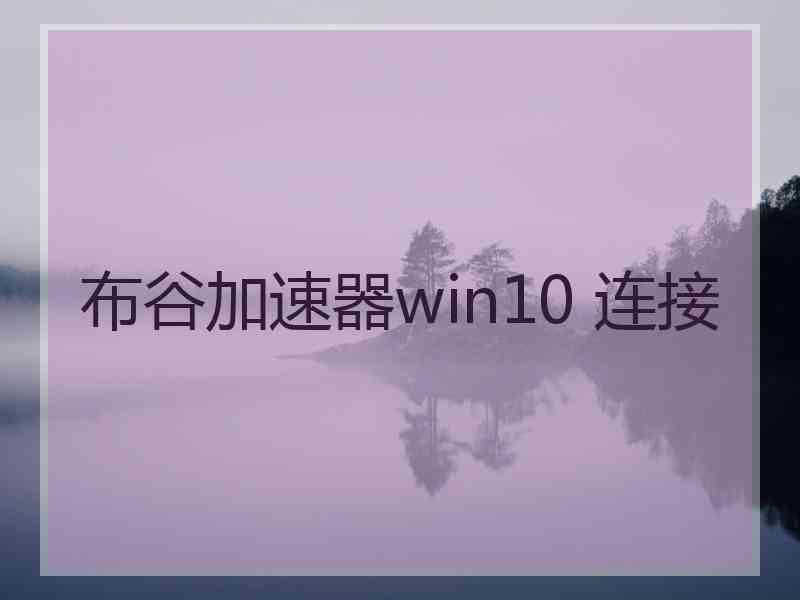 布谷加速器win10 连接