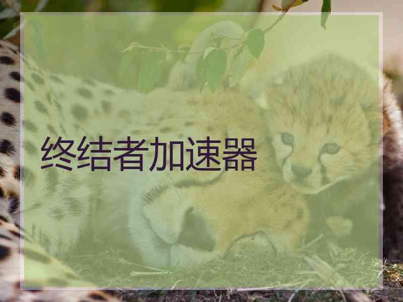 终结者加速器