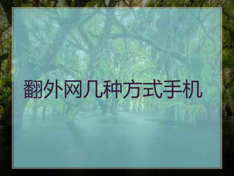 翻外网几种方式手机