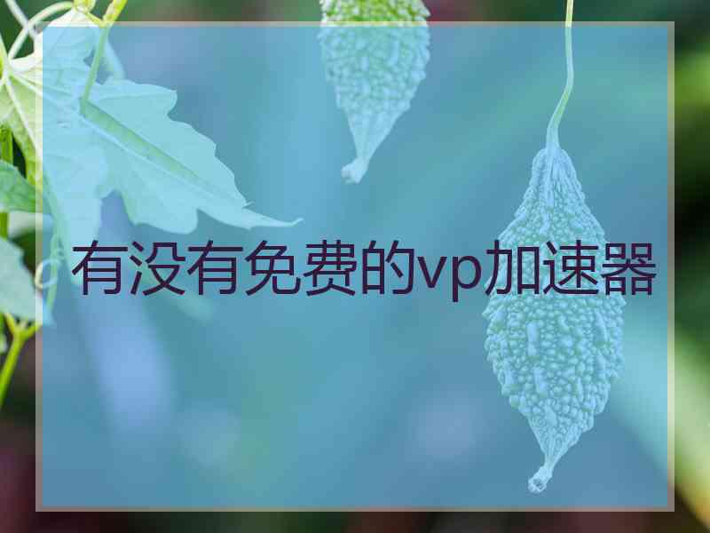 有没有免费的vp加速器