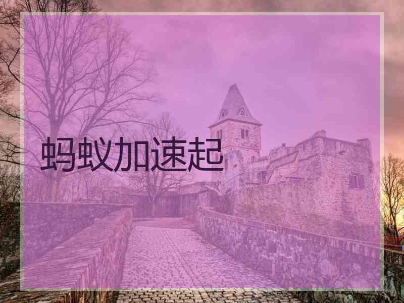 蚂蚁加速起