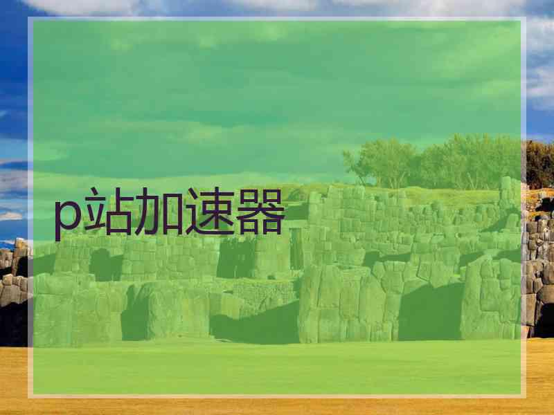 p站加速器