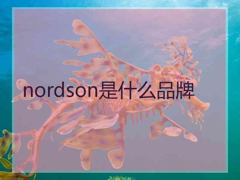nordson是什么品牌