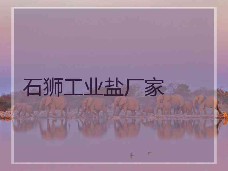 石狮工业盐厂家