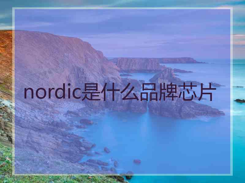 nordic是什么品牌芯片