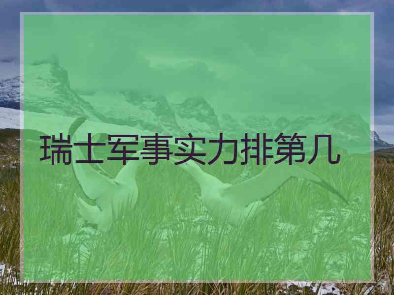 瑞士军事实力排第几