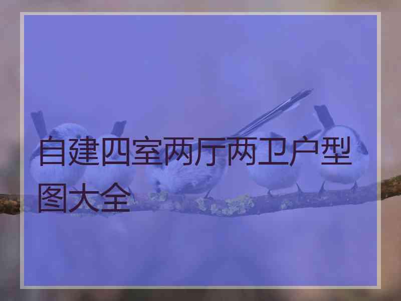 自建四室两厅两卫户型图大全