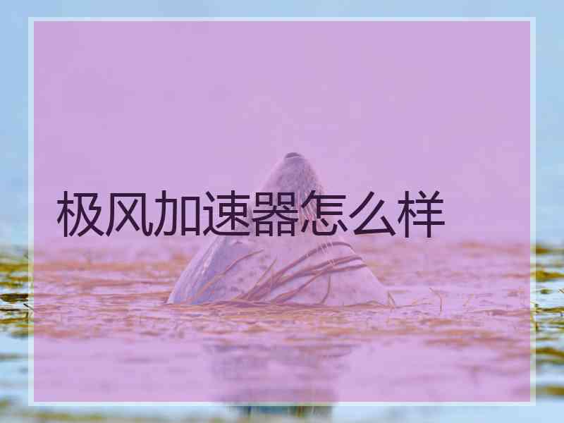 极风加速器怎么样