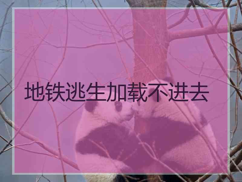 地铁逃生加载不进去