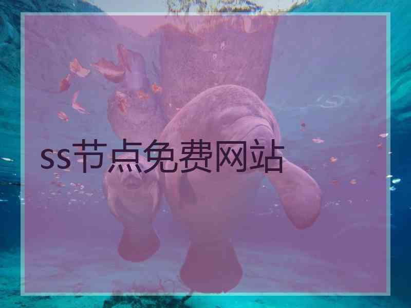 ss节点免费网站
