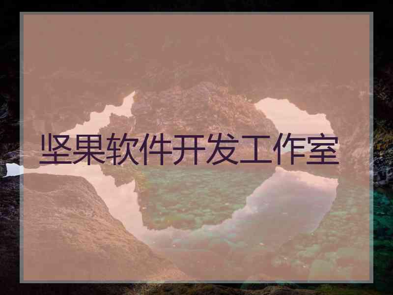 坚果软件开发工作室