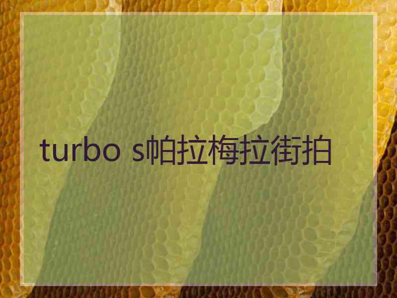 turbo s帕拉梅拉街拍