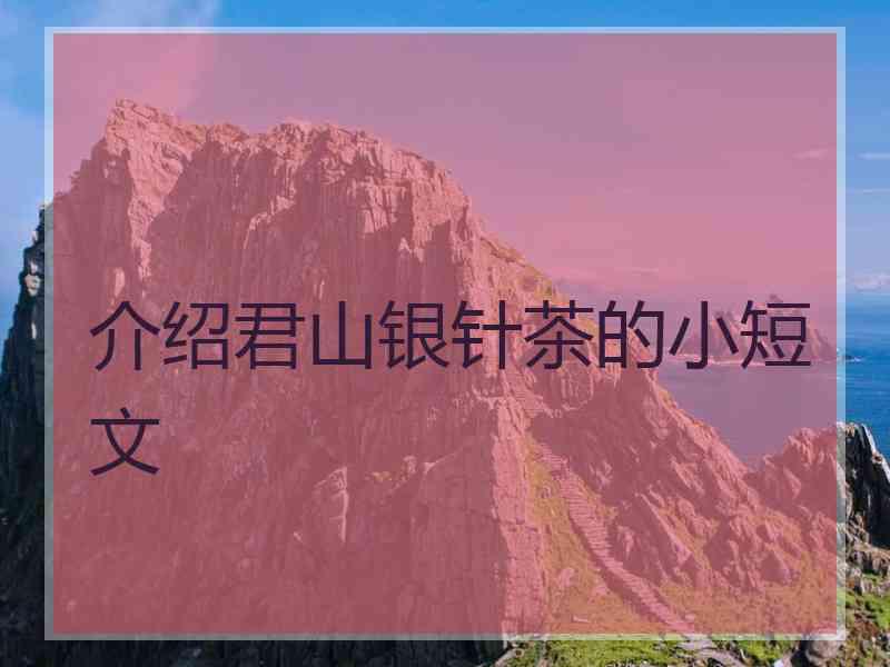 介绍君山银针茶的小短文