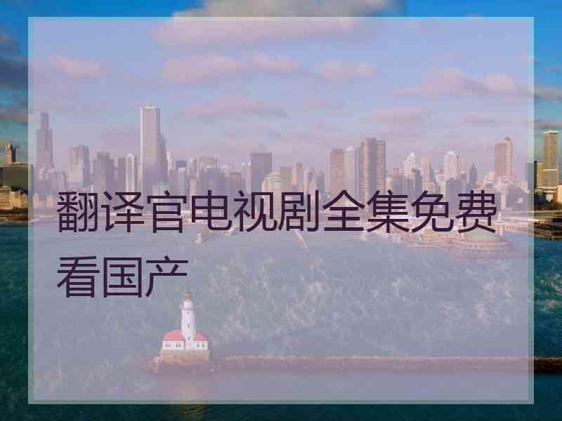 翻译官电视剧全集免费看国产