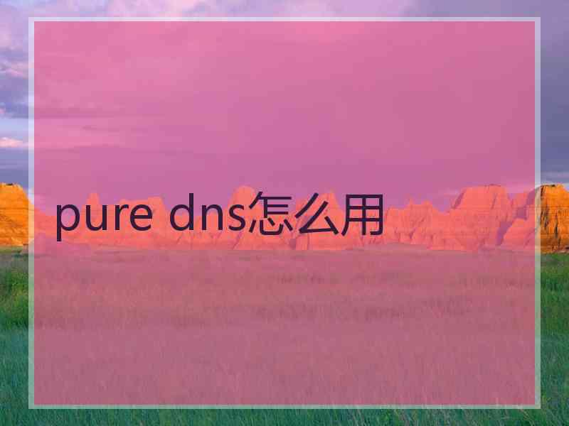 pure dns怎么用