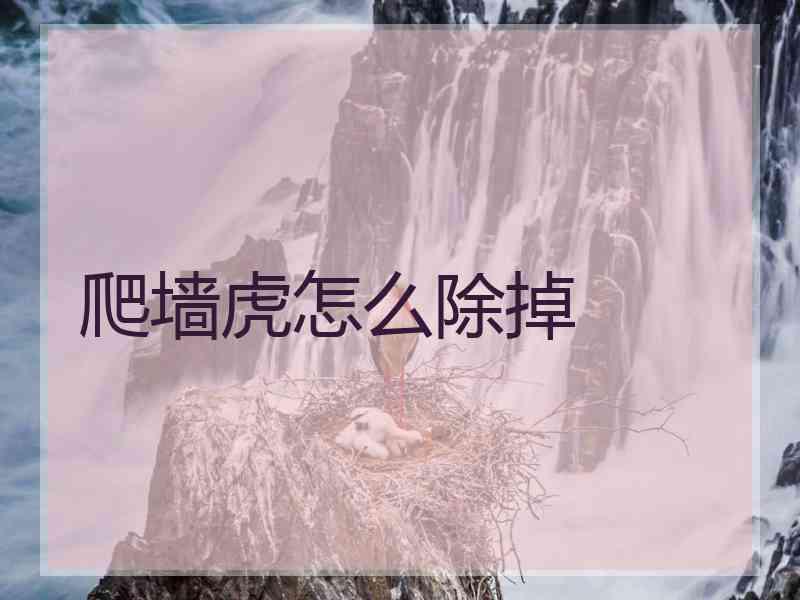 爬墙虎怎么除掉