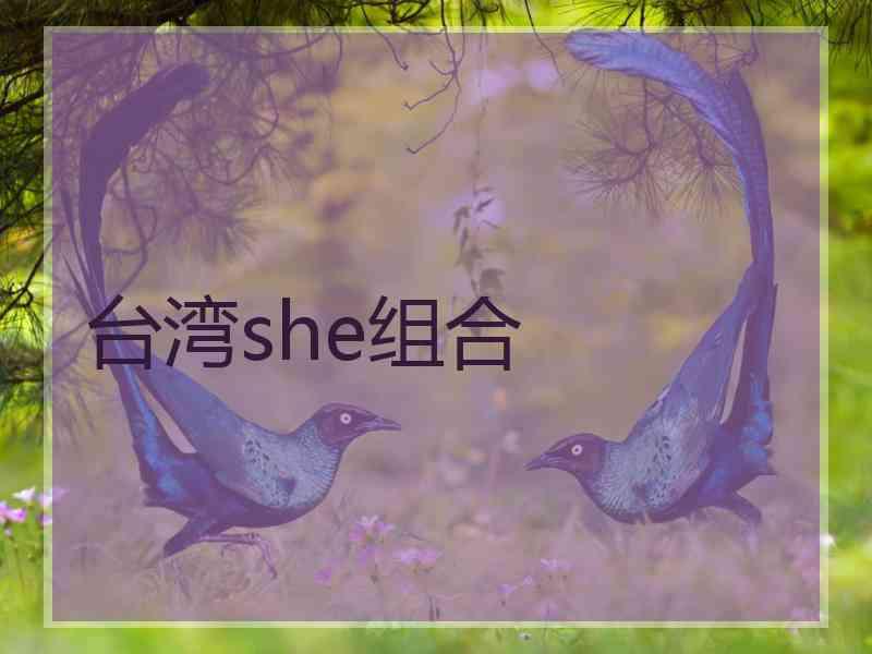 台湾she组合