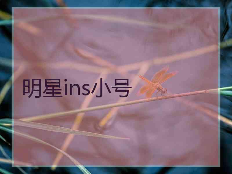 明星ins小号