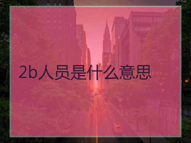 2b人员是什么意思
