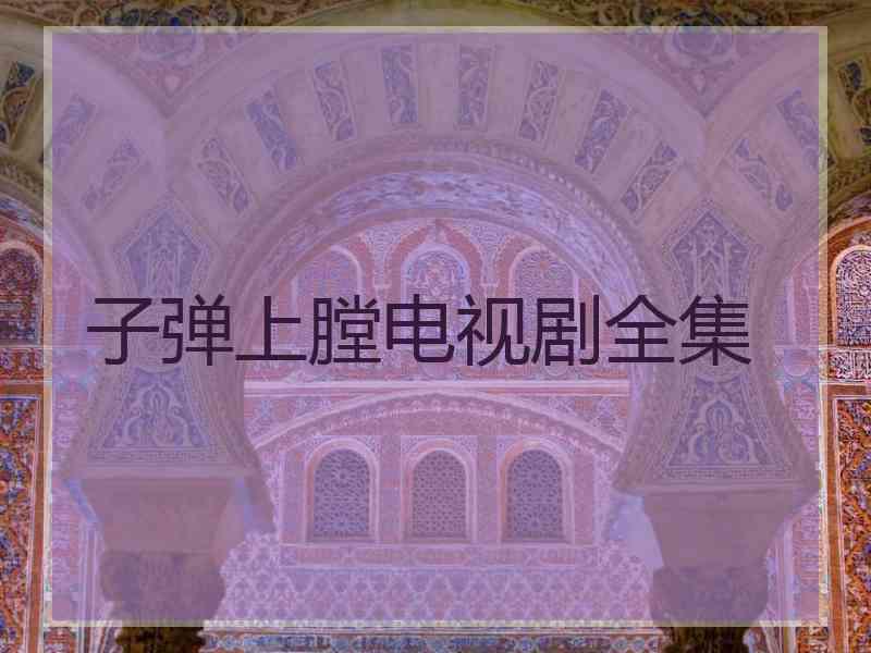 子弹上膛电视剧全集