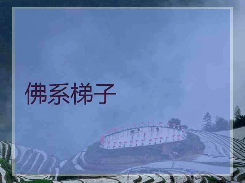 佛系梯子