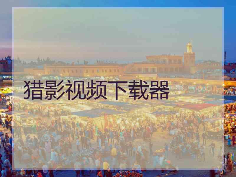 猎影视频下载器