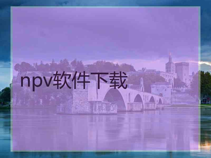 npv软件下载