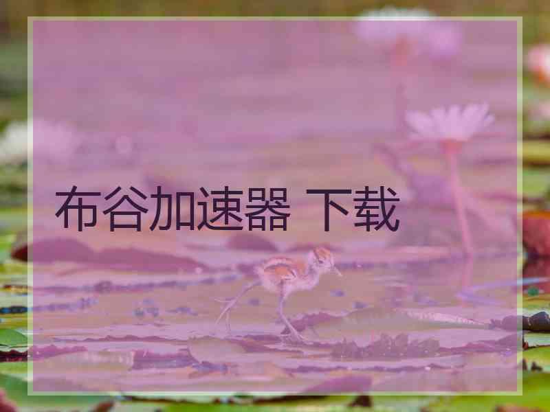 布谷加速器 下载