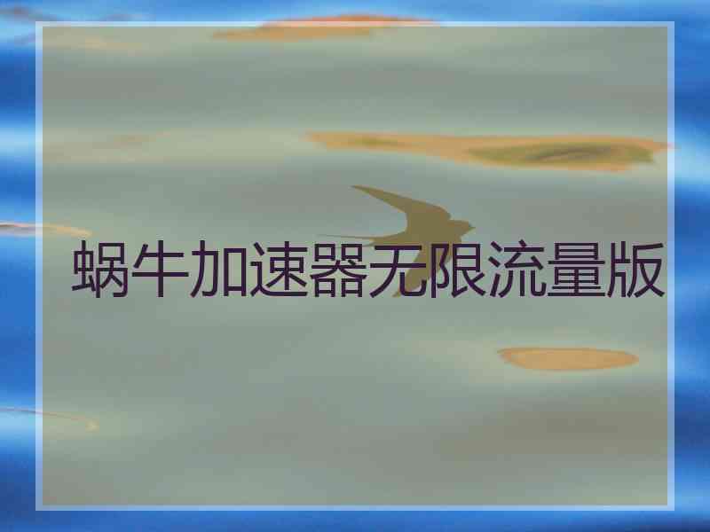 蜗牛加速器无限流量版