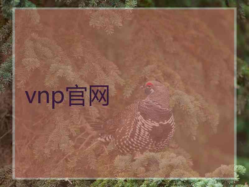 vnp官网