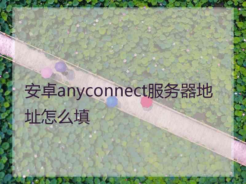 安卓anyconnect服务器地址怎么填
