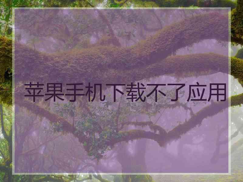 苹果手机下载不了应用