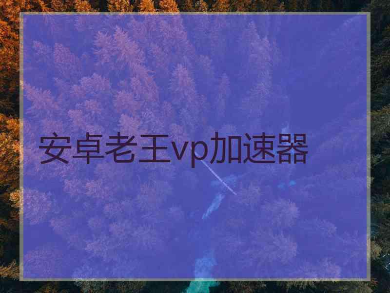 安卓老王vp加速器