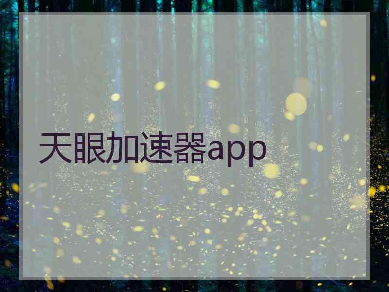 天眼加速器app