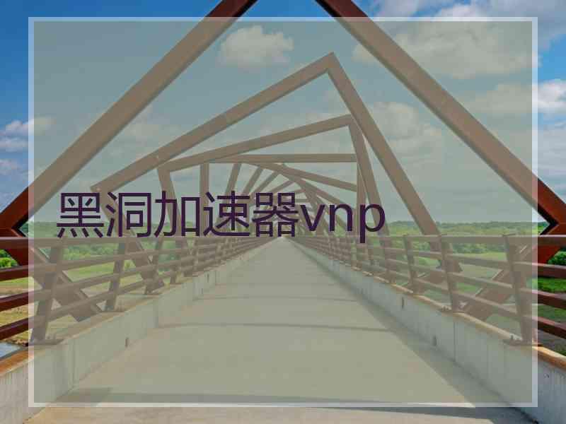 黑洞加速器vnp
