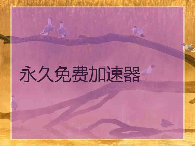 永久免费加速器