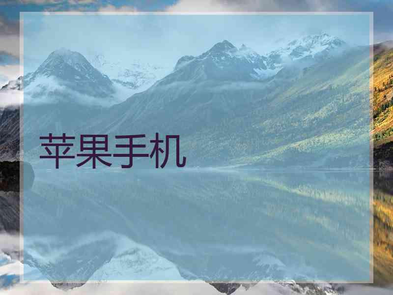 苹果手机