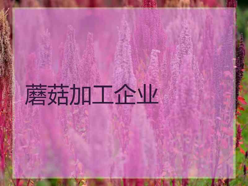 蘑菇加工企业