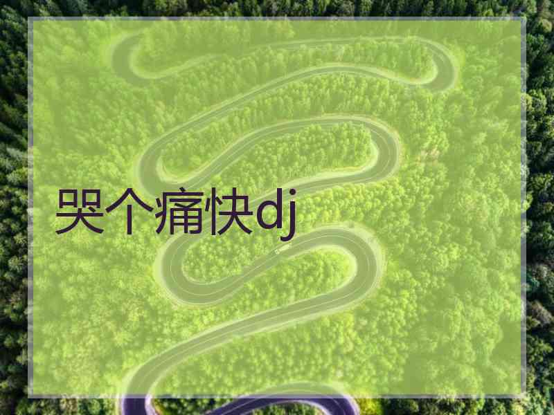 哭个痛快dj