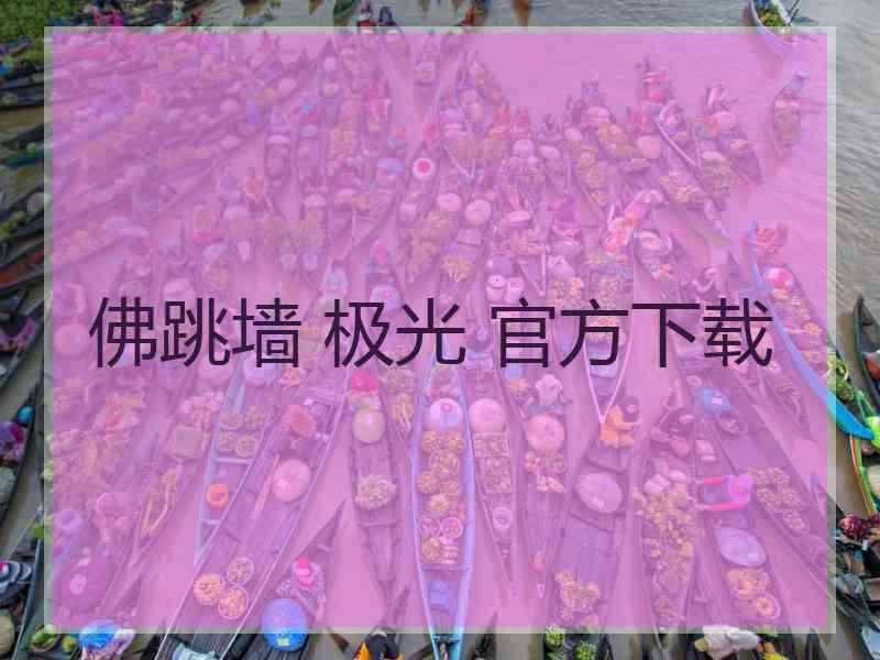 佛跳墙 极光 官方下载
