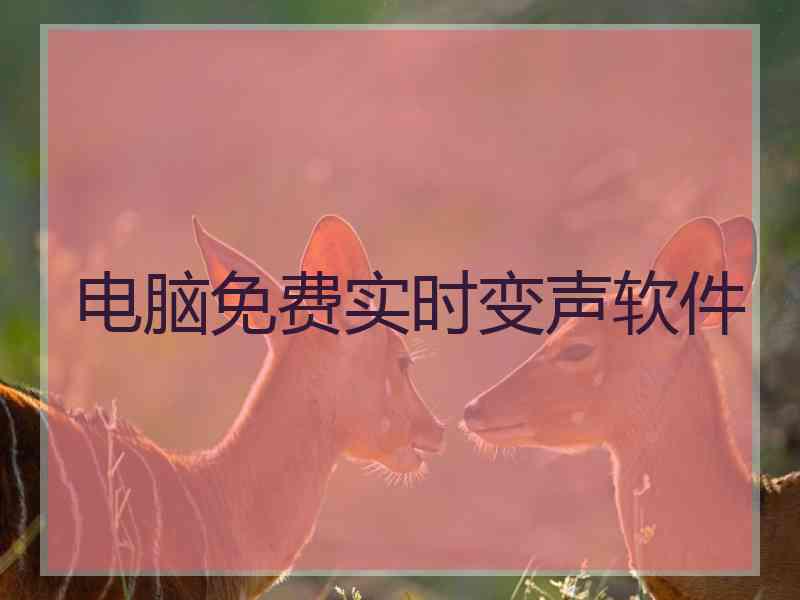 电脑免费实时变声软件