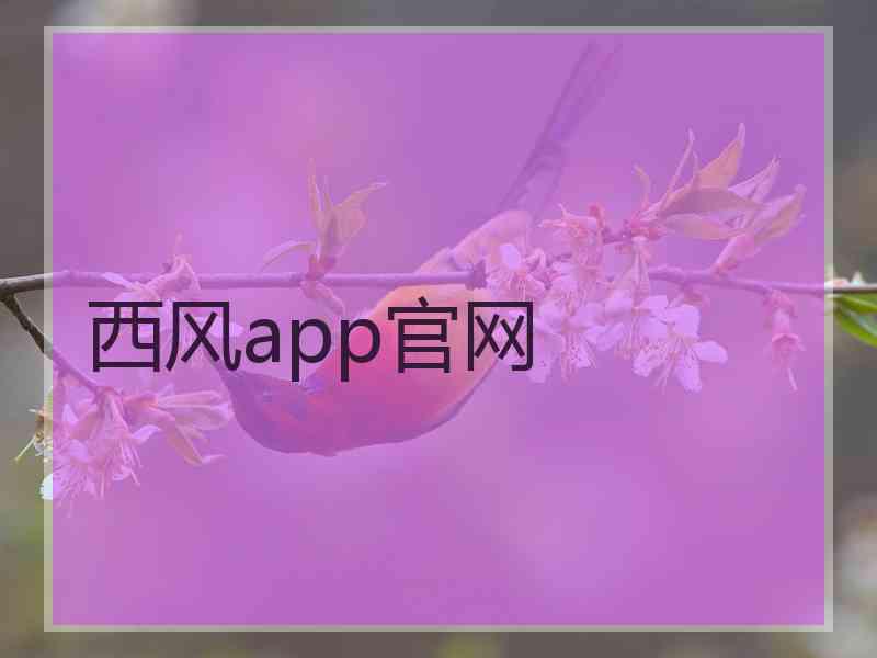 西风app官网